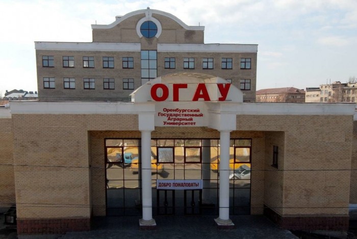 Таможенный колледж ОГАУ, Оренбург